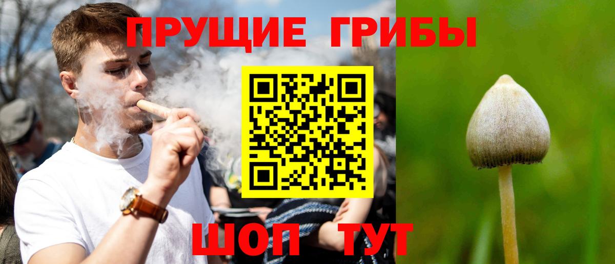 Галлюциногенные грибы прущие грибы  Вход с VPN  Тобольск 